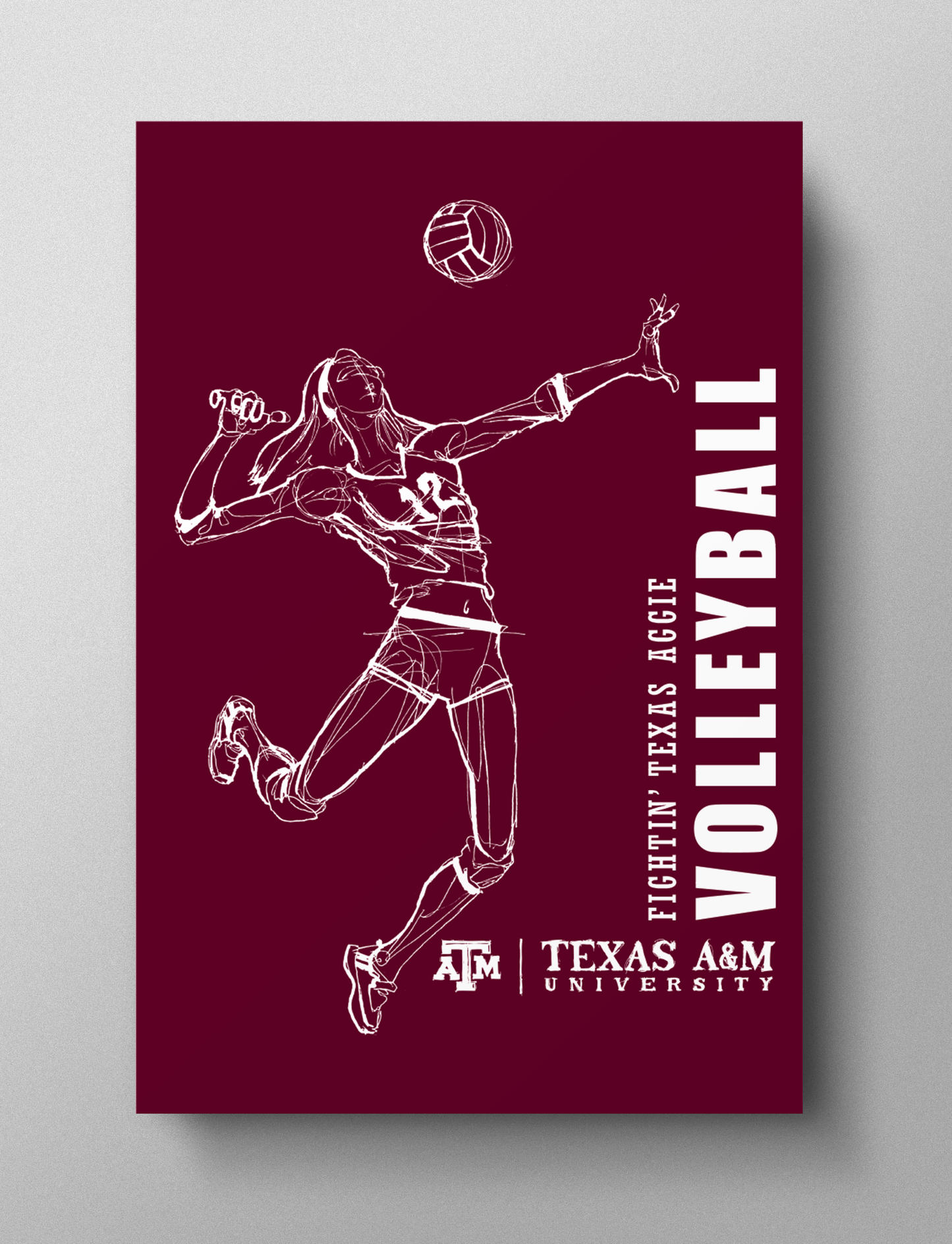 Volleyball Print