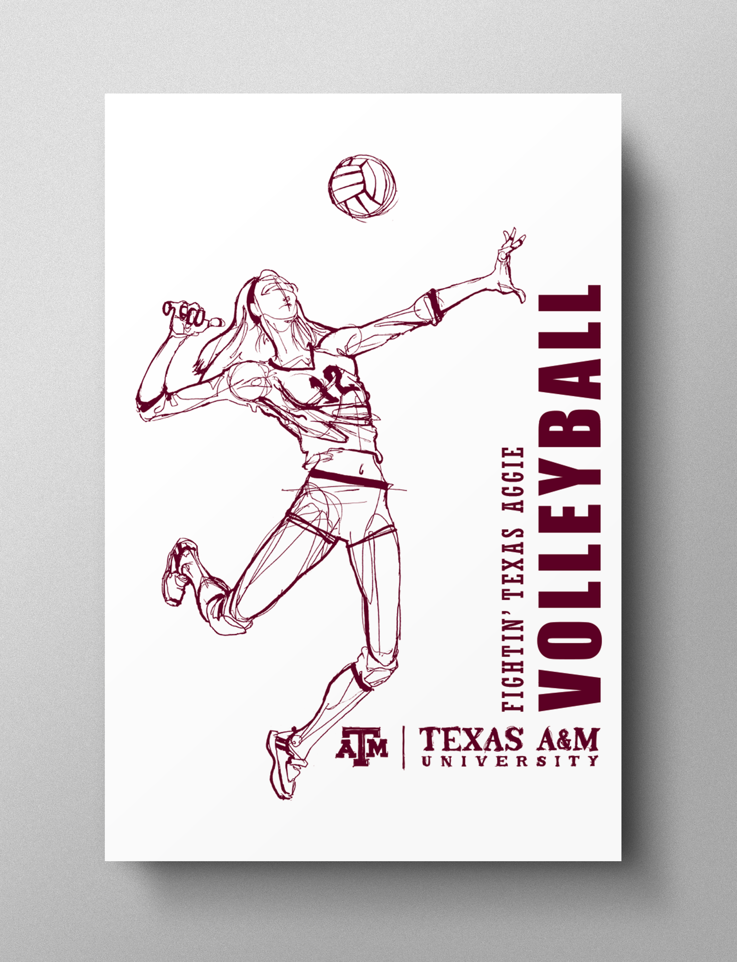 Volleyball Print